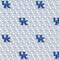 Licensed NCAA University of Kentucky White Block Letter KY-1328 Cotton Fabric by the Yard
